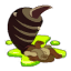 Carapace de Termystique