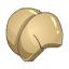 Carapace de Ver des Sables