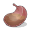 Estomac de Gliglidoudur