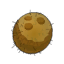 Noix de Kokoko