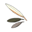 Plume de Cycloïde