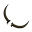 Moustaches de Cactoblongo